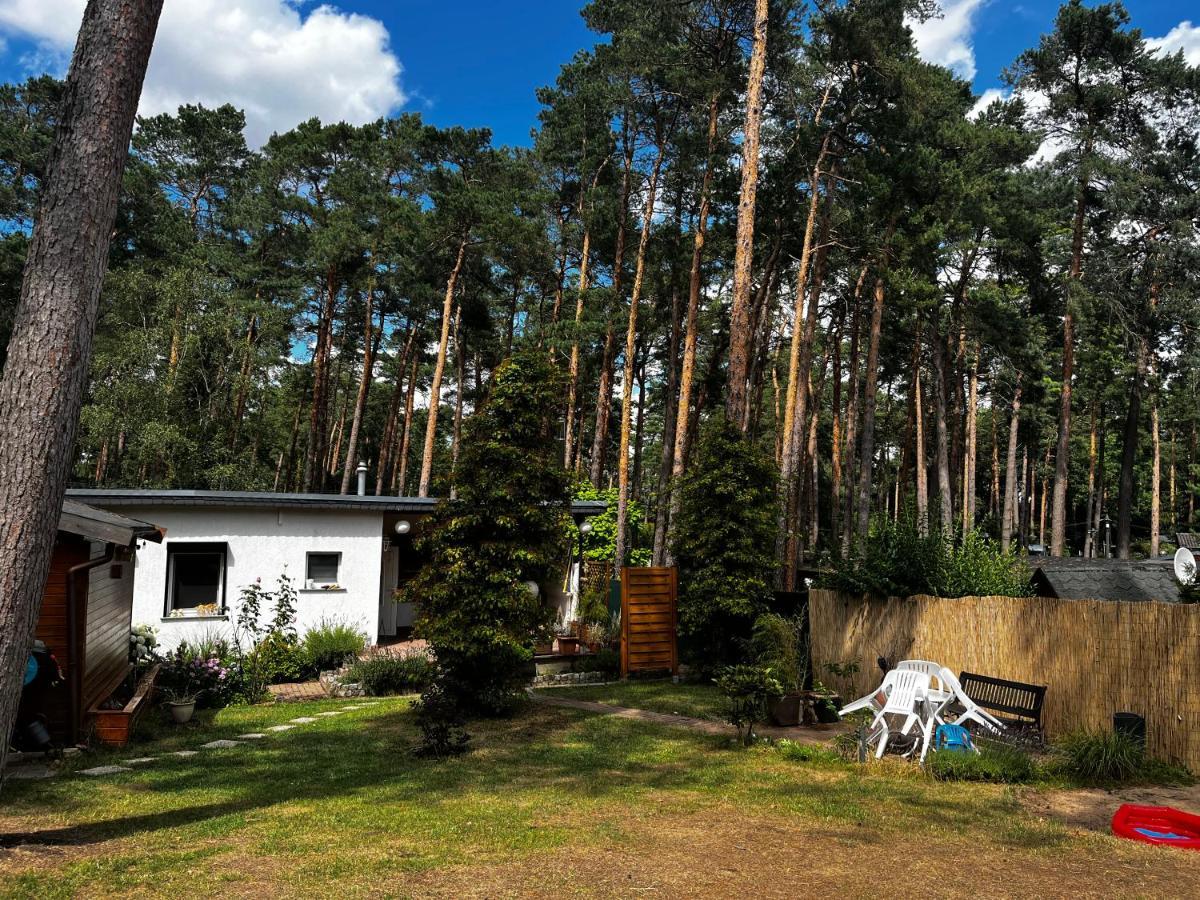 Villa Kiefernblick Plotzky Exterior foto